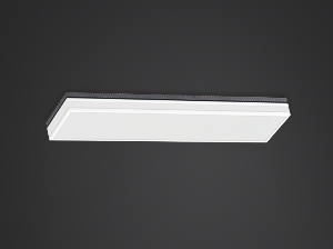 LED 퍼스트 욕실등 21W (투톤백색)
